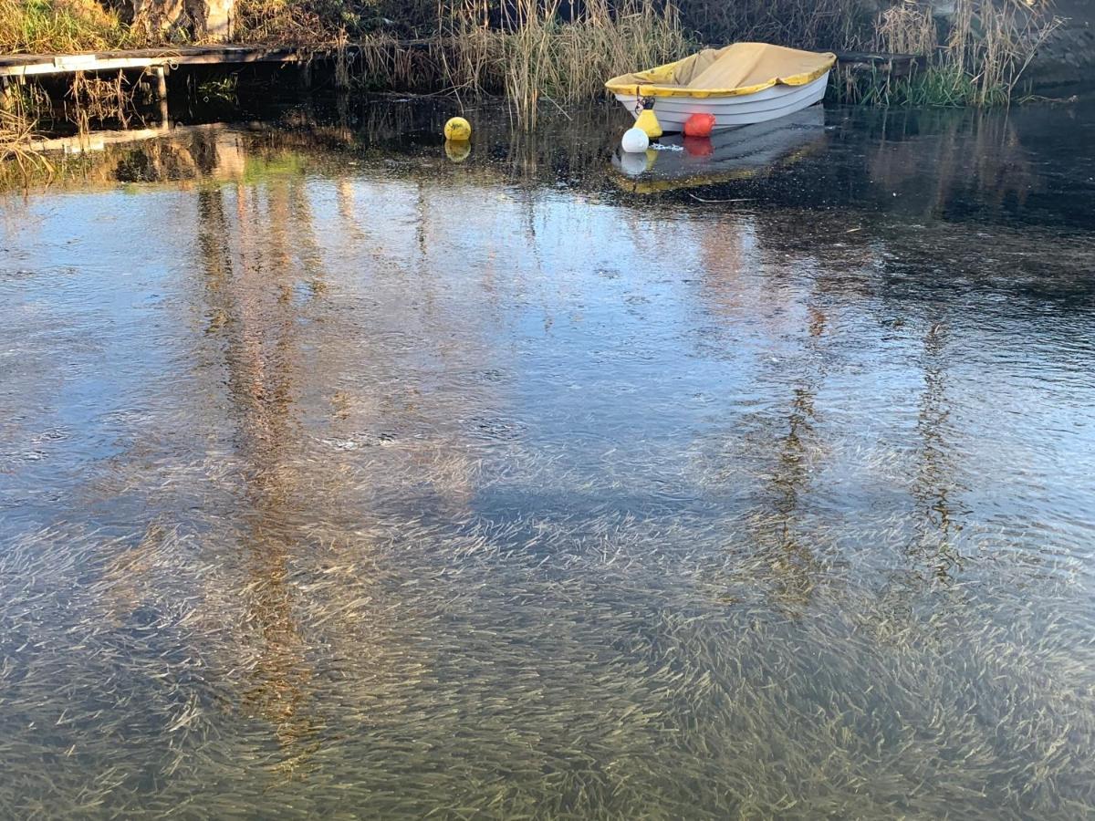 Topart Apartman I Balatonfenyves Esterno foto