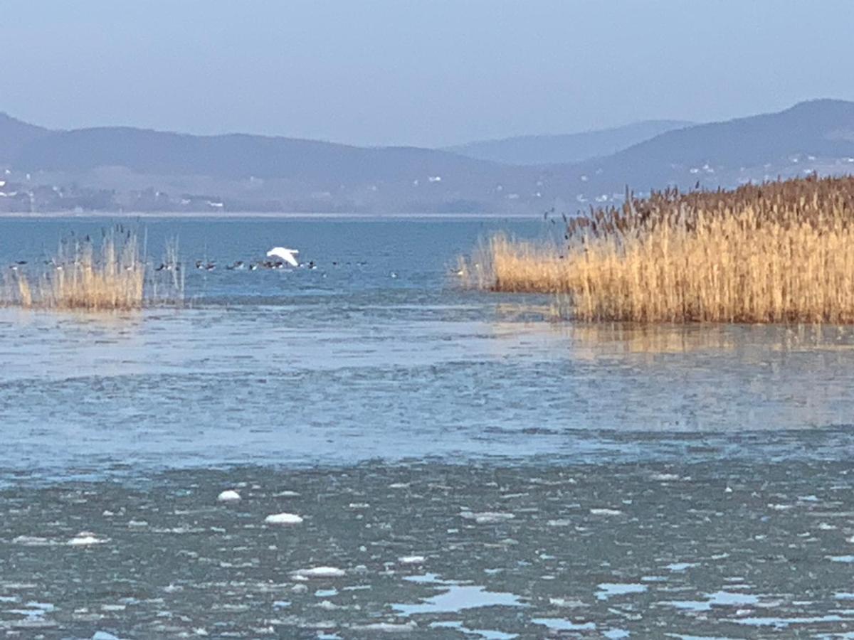 Topart Apartman I Balatonfenyves Esterno foto