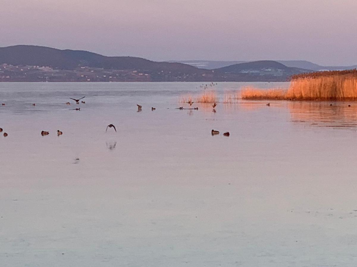Topart Apartman I Balatonfenyves Esterno foto